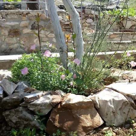 Dimitra's Garden