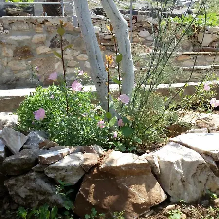 Dimitra's Garden